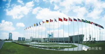 新春開(kāi)門(mén)紅 20個(gè)產(chǎn)業(yè)化項(xiàng)目扎堆中國(guó)醫(yī)藥城，技術(shù)服務(wù)開(kāi)啟新篇章